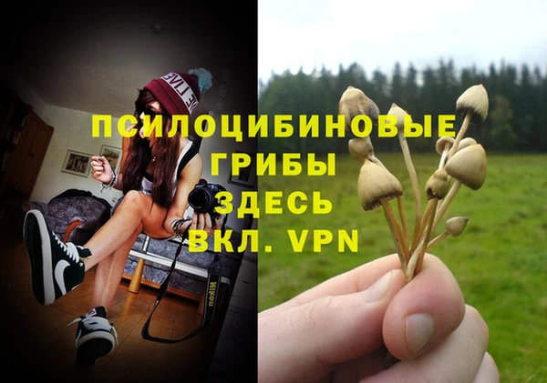 МДПВ Осинники
