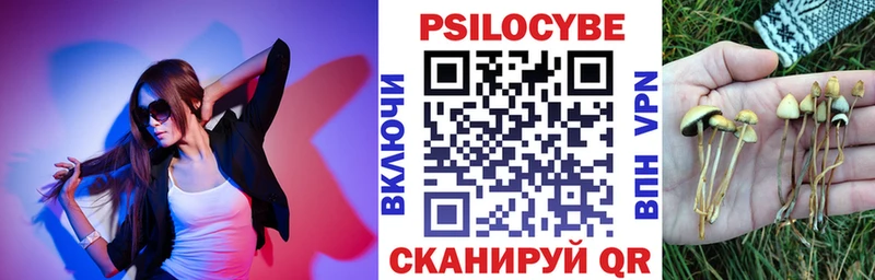 Галлюциногенные грибы GOLDEN TEACHER  Темников 